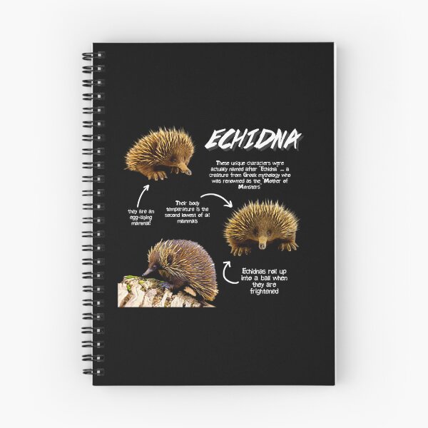 Item preview, Echidna Fun Facts designed and sold by KyleNesas.