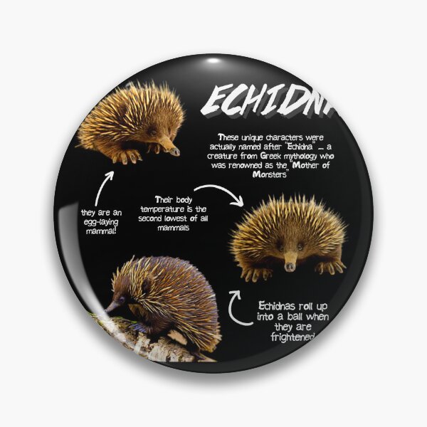 Item preview, Echidna Fun Facts designed and sold by KyleNesas.