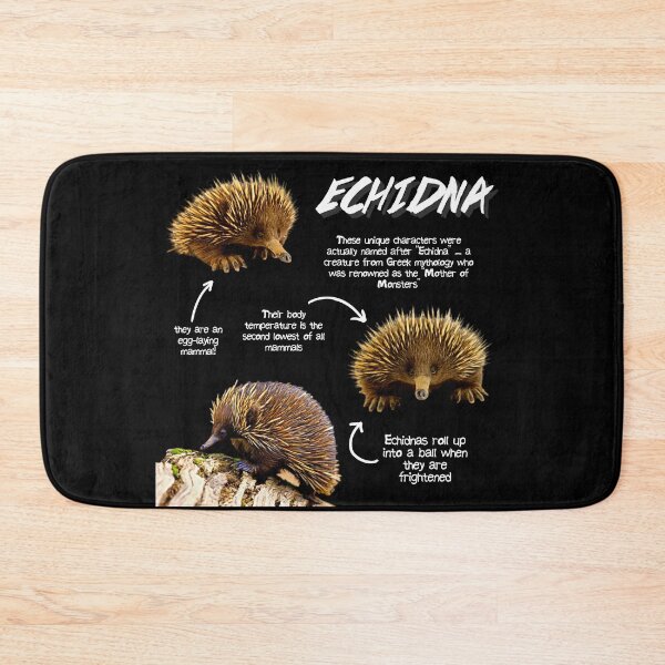 Item preview, Echidna Fun Facts designed and sold by KyleNesas.