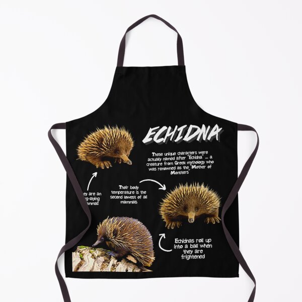 Item preview, Echidna Fun Facts designed and sold by KyleNesas.
