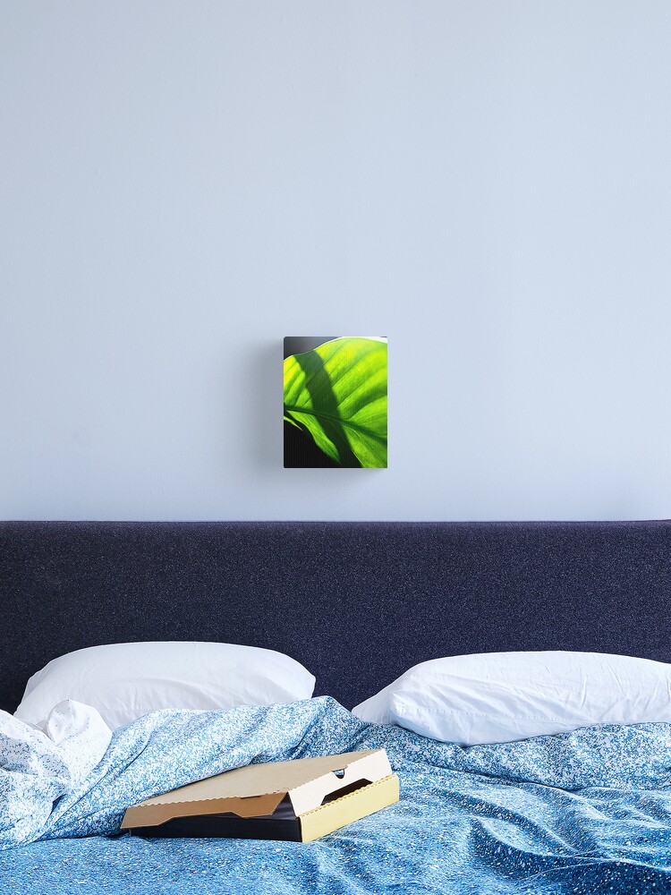 Thumbnail 1 of 3, Canvas Print, Peace Lily #2 designed and sold by April Dowling.