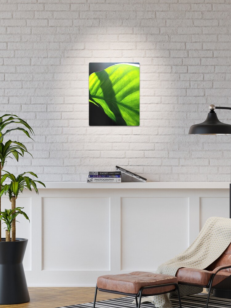 Thumbnail 1 of 4, Metal Print, Peace Lily #2 designed and sold by April Dowling.