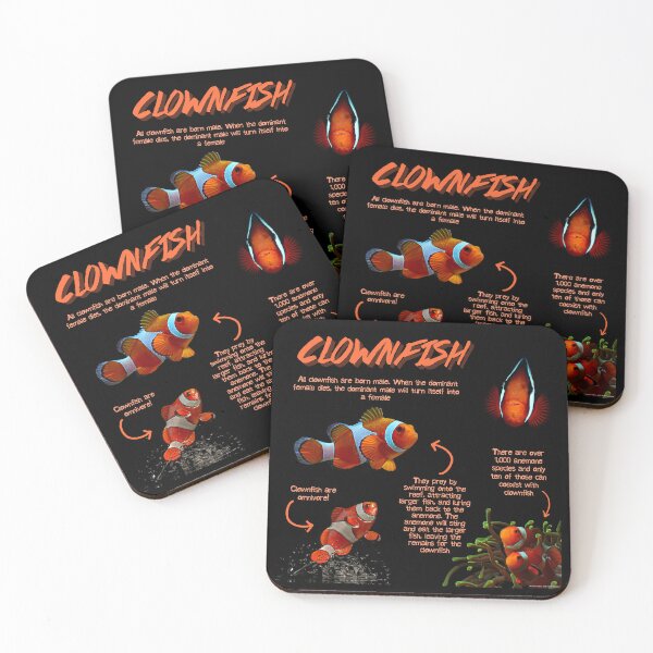Item preview, Clown Fish Fun Facts designed and sold by KyleNesas.
