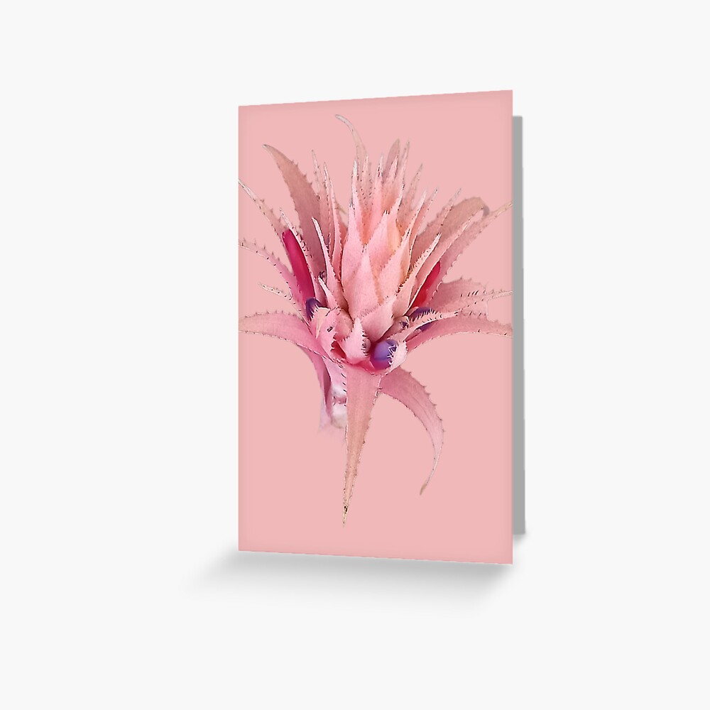 Item preview, Greeting Card designed and sold by Hflwfl.