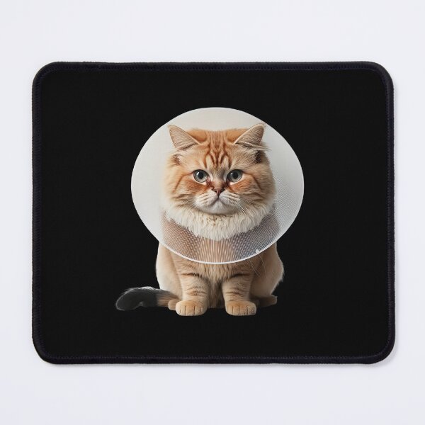Item preview, Fluffy cute cat wearing cone collar designed and sold by AnimalArtPhotos.