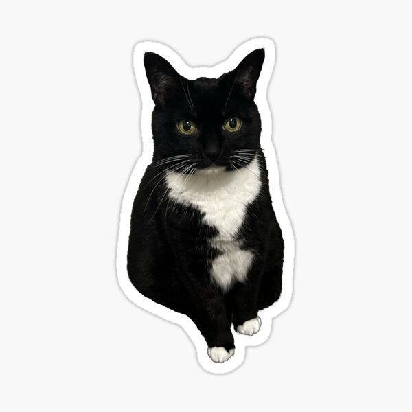 Item preview, Black White Tuxedo Cat designed and sold by UchihaIndustry.