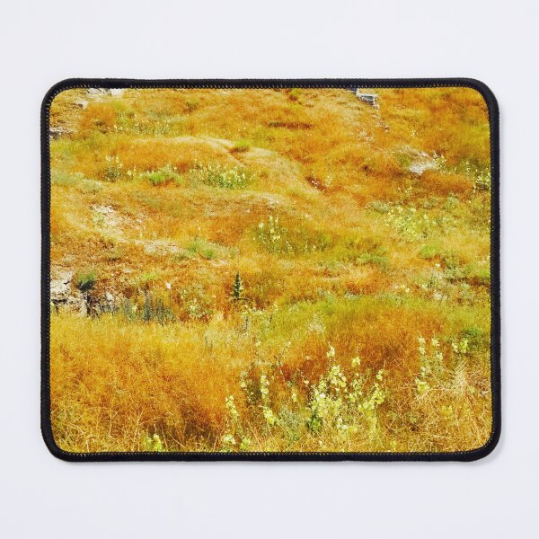 Item preview, Steppe on a bright summer day, natural background  designed and sold by helenkaiy.