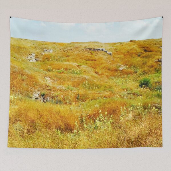 Item preview, Steppe on a bright summer day, natural background  designed and sold by helenkaiy.