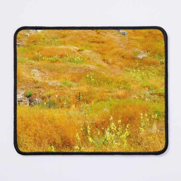 Item preview, Steppe on a bright summer day, natural background designed and sold by helenkaiy.