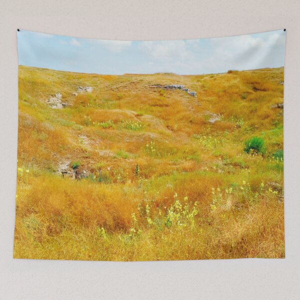 Item preview, Steppe on a bright summer day, natural background  designed and sold by helenkaiy.