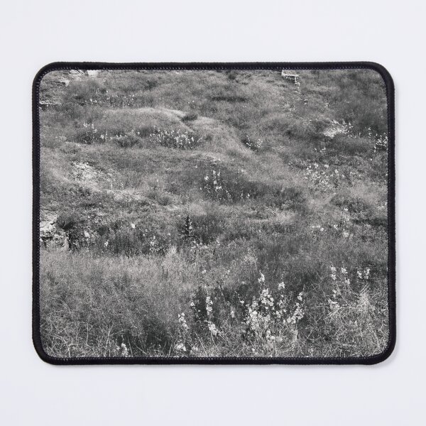 Item preview, Steppe on a bright summer day, natural background designed and sold by helenkaiy.