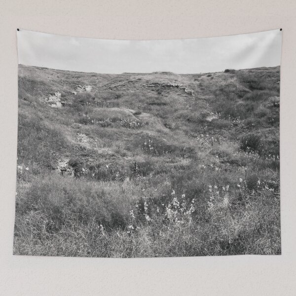 Item preview, Steppe on a bright summer day, natural background  designed and sold by helenkaiy.