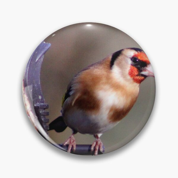 Item preview, goldfinch designed and sold by KathleenDawson.