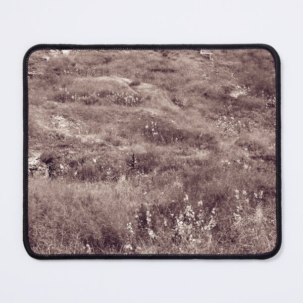 Item preview, Steppe on a bright summer day, natural background designed and sold by helenkaiy.