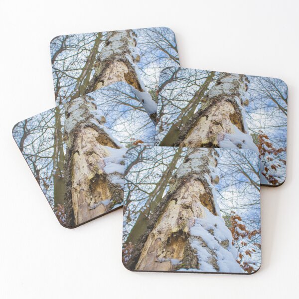 Item preview, Broken Silver Birch Tree designed and sold by MikeSpence.