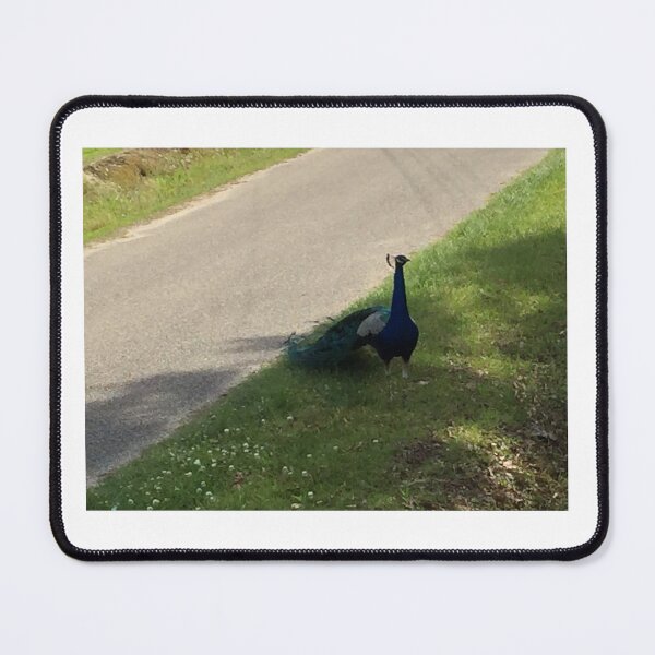 Item preview, Peacocks at play designed and sold by Pearls1.