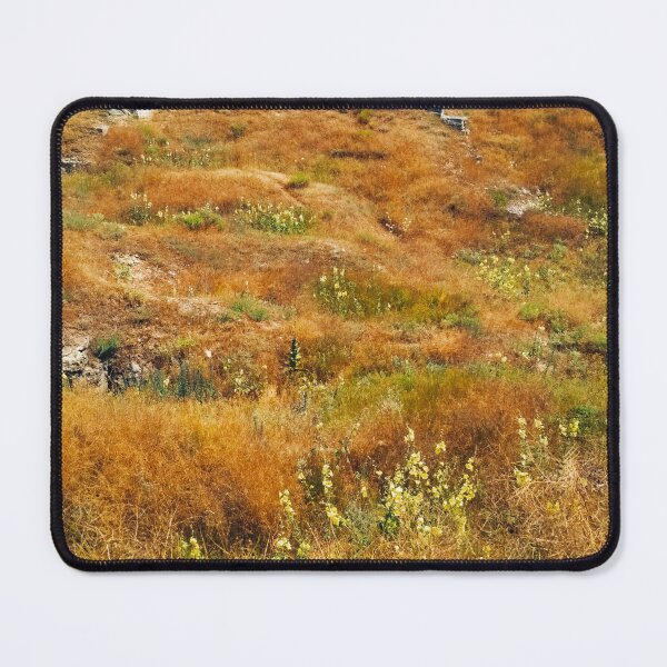 Item preview, Steppe on a bright summer day, natural background designed and sold by helenkaiy.