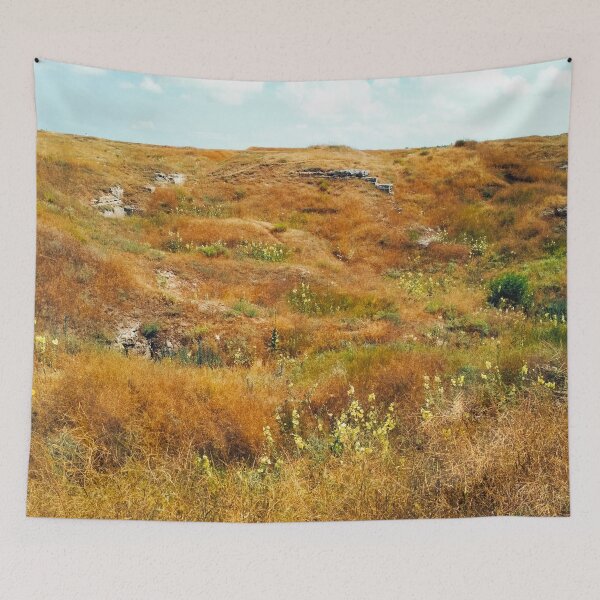 Item preview, Steppe on a bright summer day, natural background  designed and sold by helenkaiy.