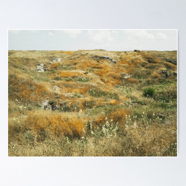 Item preview, Steppe on a bright summer day, natural background  designed and sold by helenkaiy.