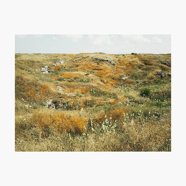 Item preview, Steppe on a bright summer day, natural background  designed and sold by helenkaiy.