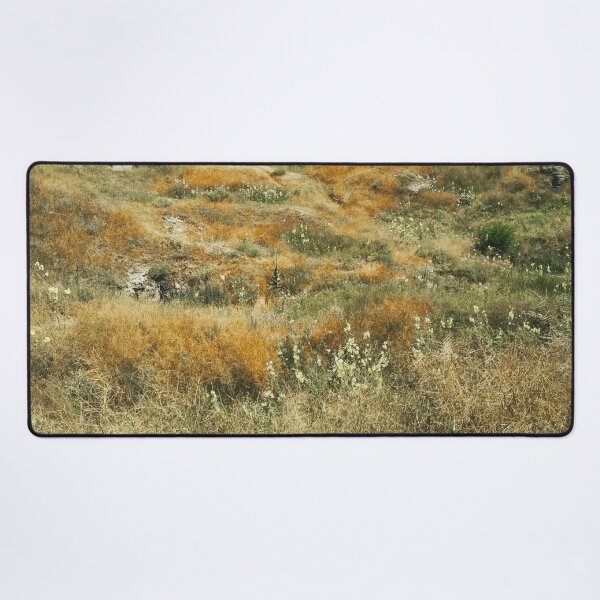 Item preview, Steppe on a bright summer day, natural background designed and sold by helenkaiy.