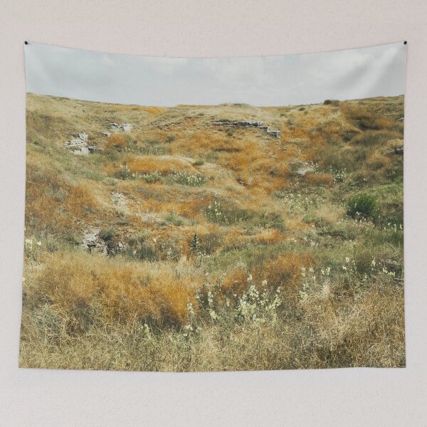 Item preview, Steppe on a bright summer day, natural background  designed and sold by helenkaiy.