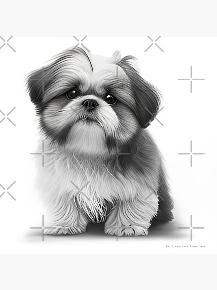 easy-drawing-ideas-black-and-white-pencil-sketch-of-a-cute-puppy-white-background