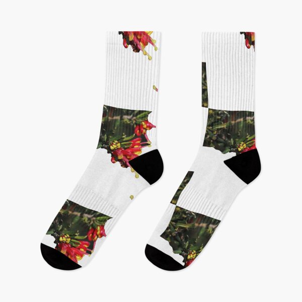 Item preview, Red Yellow Grevillea designed and sold by KazM.