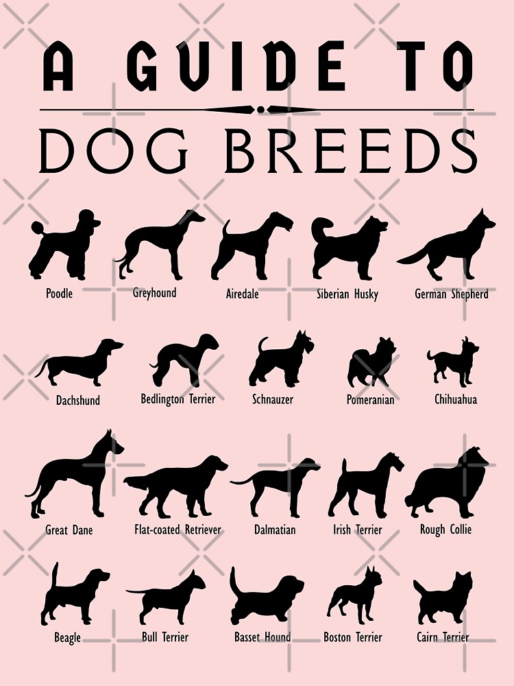 Quick Guide on Dog Breeds