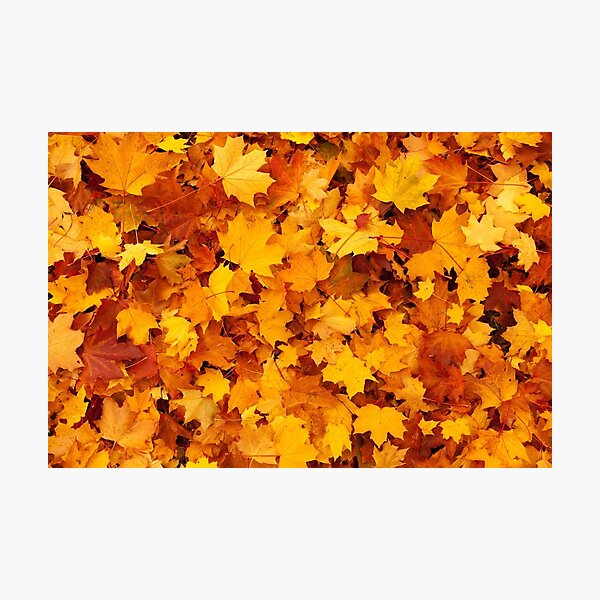 Item preview, Nature Wallpaper Autumn Leaves Foliage Pattern designed and sold by kris-money.