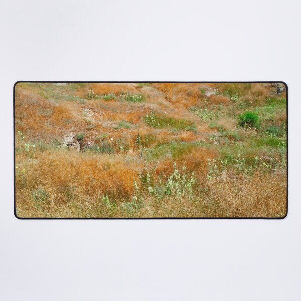Item preview, Steppe on a bright summer day, natural background designed and sold by helenkaiy.