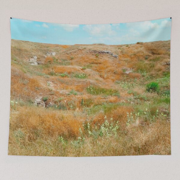 Item preview, Steppe on a bright summer day, natural background  designed and sold by helenkaiy.