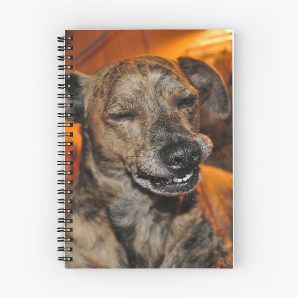 Item preview, A Pit Wiener Smile designed and sold by michaelasamples.