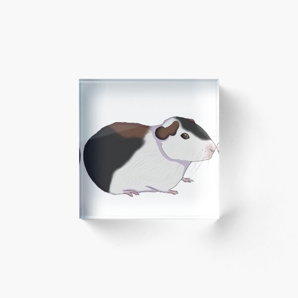 Item preview, guinea pig, guinea pig designed and sold by Dead-Poule.