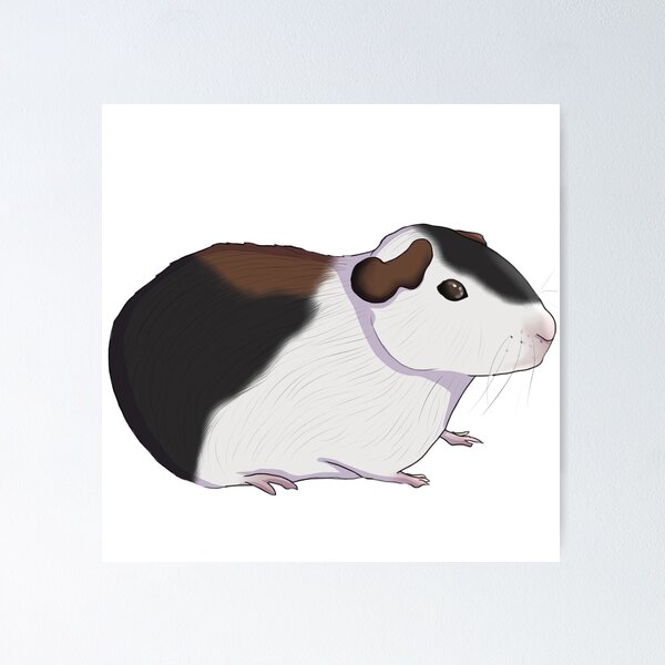 Item preview, guinea pig, guinea pig designed and sold by Dead-Poule.