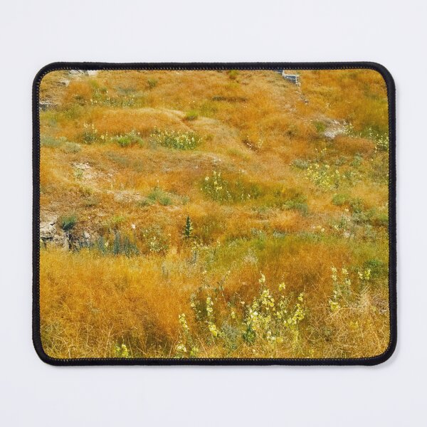 Item preview, Steppe on a bright summer day, natural background designed and sold by helenkaiy.