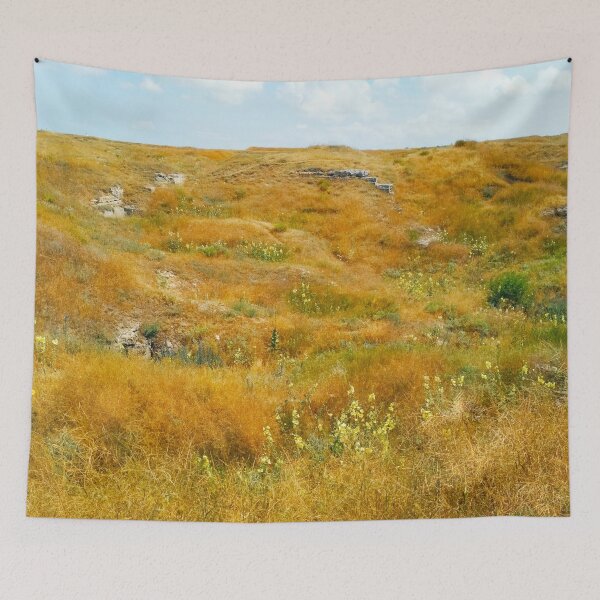 Item preview, Steppe on a bright summer day, natural background  designed and sold by helenkaiy.