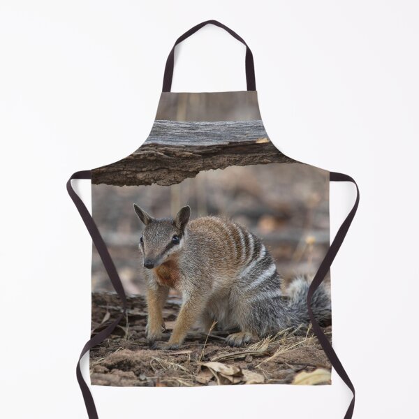 Item preview, Male Numbat designed and sold by gwenthewren.