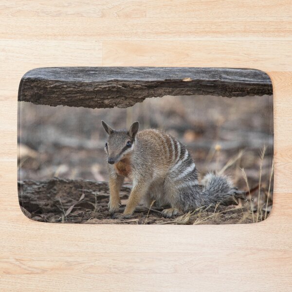 Item preview, Male Numbat designed and sold by gwenthewren.