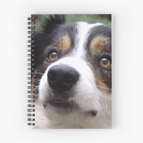 Item preview, The Charm of Laddie. designed and sold by Michael Haslam.