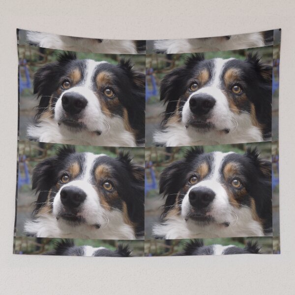 Item preview, The Charm of Laddie. designed and sold by Michael Haslam.