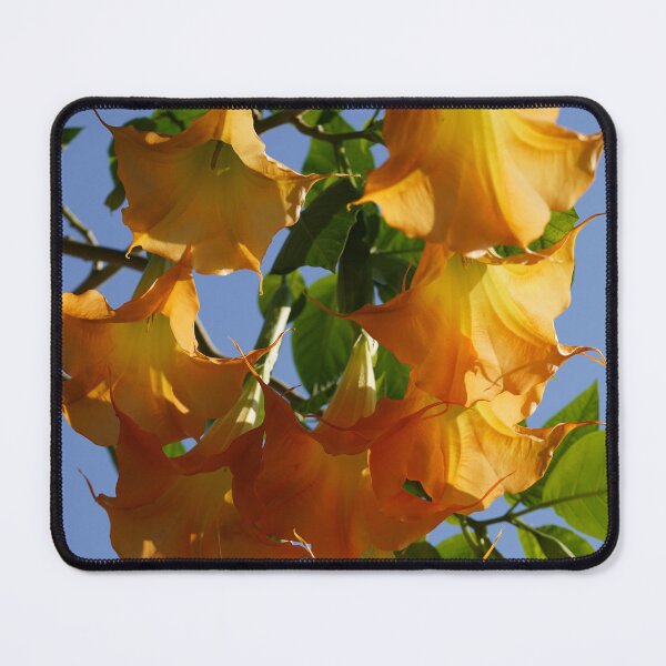 Item preview, Sounds of Nature designed and sold by Nira Dabush.