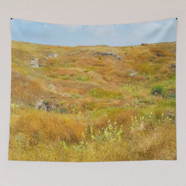 Item preview, Steppe on a summer day, natural background  designed and sold by helenkaiy.