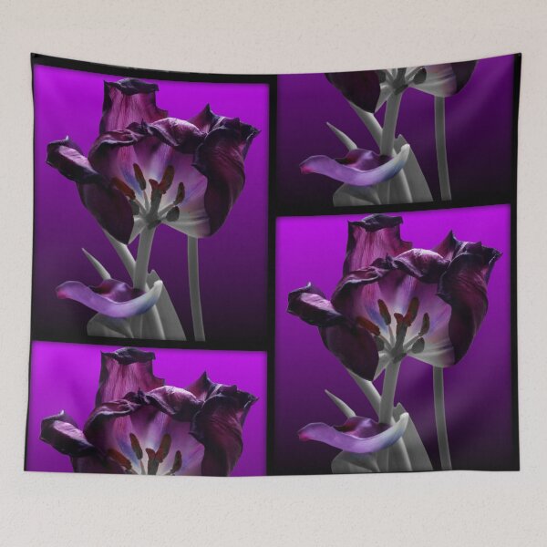 Item preview, magenta purple tulip in abscission | greyscale pink | altered original photograph designed and sold by DigitalEurydice.