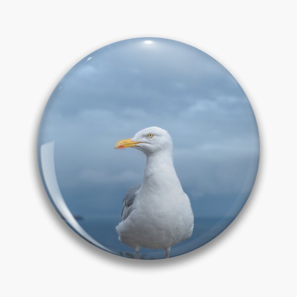 Item preview, Seagull, Atlantic ocean, mountains and beautiful cloudy sky, this is the Dingle Peninsula on Ireland’s Wild Atlantic Way, southwest Atlantic coast designed and sold by AlbertMi.