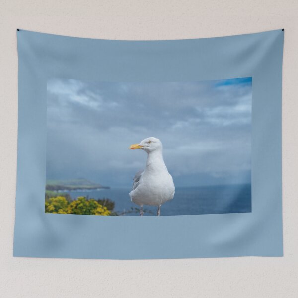 Item preview, Seagull, Atlantic ocean, mountains and beautiful cloudy sky, this is the Dingle Peninsula on Ireland’s Wild Atlantic Way, southwest Atlantic coast designed and sold by AlbertMi.