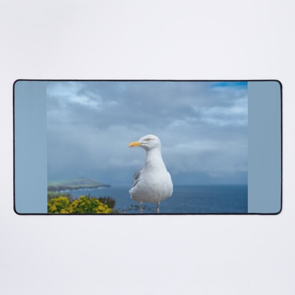 Item preview, Seagull, Atlantic ocean, mountains and beautiful cloudy sky, this is the Dingle Peninsula on Ireland’s Wild Atlantic Way, southwest Atlantic coast designed and sold by AlbertMi.