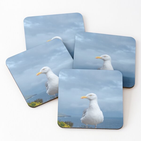 Item preview, Seagull, Atlantic ocean, mountains and beautiful cloudy sky, this is the Dingle Peninsula on Ireland’s Wild Atlantic Way, southwest Atlantic coast designed and sold by AlbertMi.