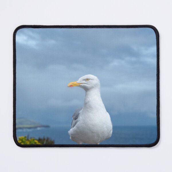 Item preview, Seagull, Atlantic ocean, mountains and beautiful cloudy sky, this is the Dingle Peninsula on Ireland’s Wild Atlantic Way, southwest Atlantic coast designed and sold by AlbertMi.