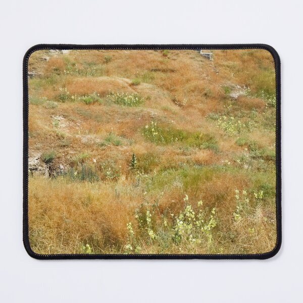 Item preview, Steppe on a summer day, natural background designed and sold by helenkaiy.